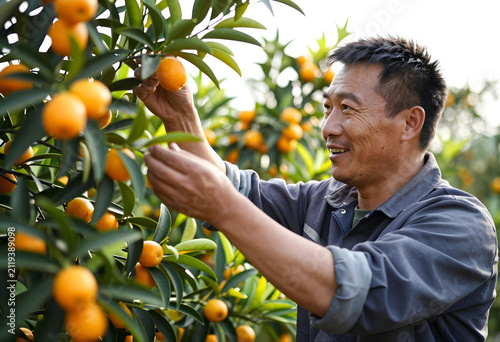 Smiling asian farmer harves...