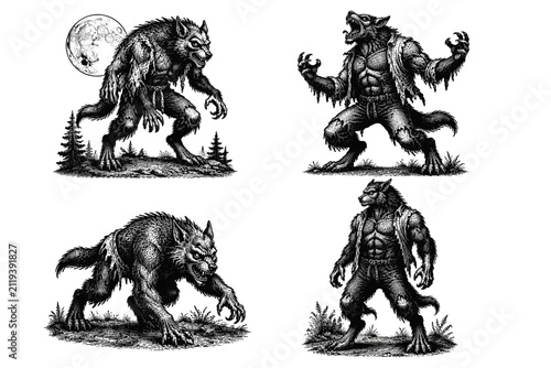 Quadro su tela Four terrifying werewolf illustrations in a vintage engraving style, showcasing