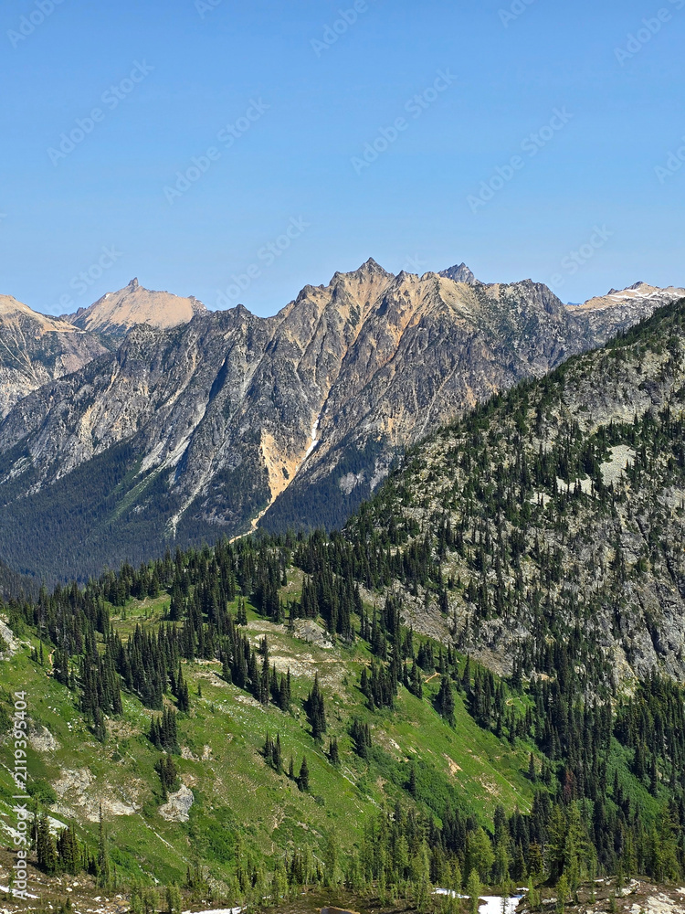 Obraz premium Vertical shot of steep rocky mountain ridge covered with sparse pine trees above a lush green alpine valley, North Cascades National Park, Washington