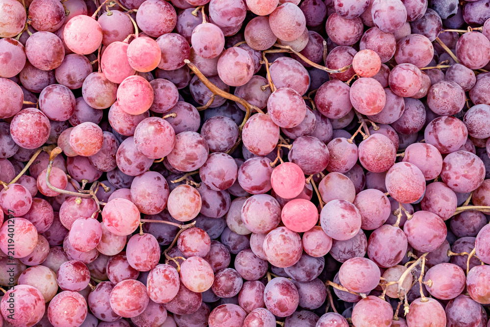 Obraz premium Fresh red grapes background. A full-frame close-up shows clusters of fresh red and purple grapes with stems as a natural fruit background.