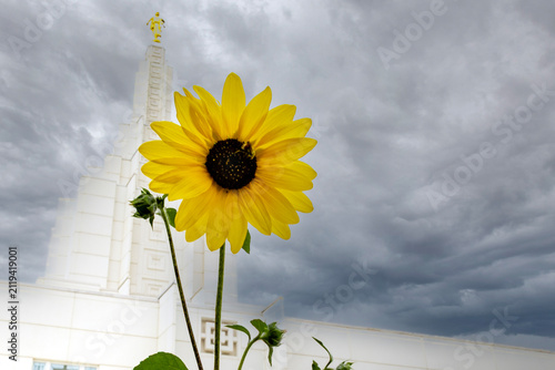 Beautiful exterior view of the Idaho Falls Idaho Temple of The Church of Jesus Christ of Latter-day Saints, featuring its distinctive white spire, elegant architecture, and peaceful grounds along the 