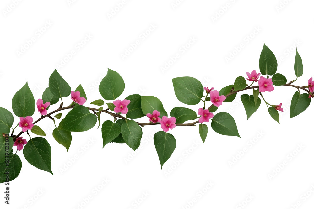 Obraz premium Trailing green branch with small pink flowers