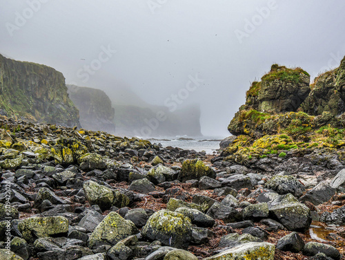 Fotografie rocks in the sea
