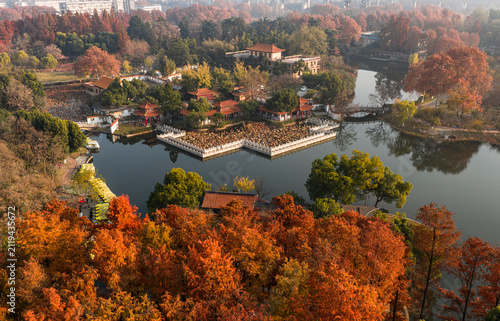 Aerial view of a city park in autumn, featuring vibrant redwoods and a classic Chinese garden pavilion by a serene lake. A peaceful natural retreat for leisure.	