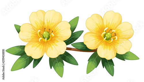 Stylized cartoon yellow flower branch with green leaves