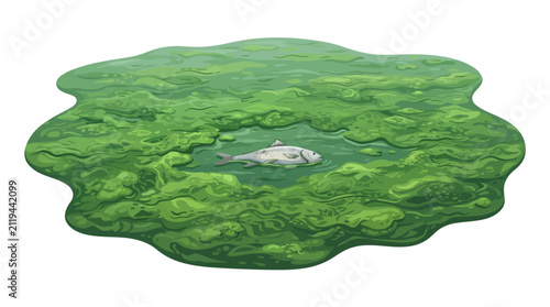 Eutrophication concept with a dead fish in a cluster of green algae floating on water representing environmental damage and water pollution