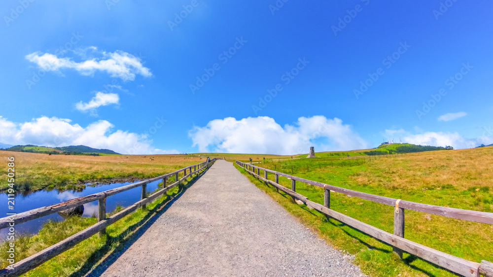 Fototapeta premium 夏の美ヶ原高原の遊歩道と広大な牧場の景色（長野県）