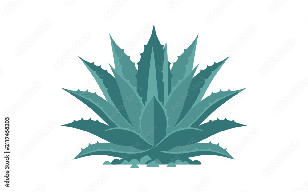 Fototapeta premium Blue Agave Plant Flat Vector Illustration