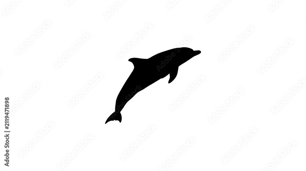 Obraz premium Jumping Dolphin Silhouette on White Background