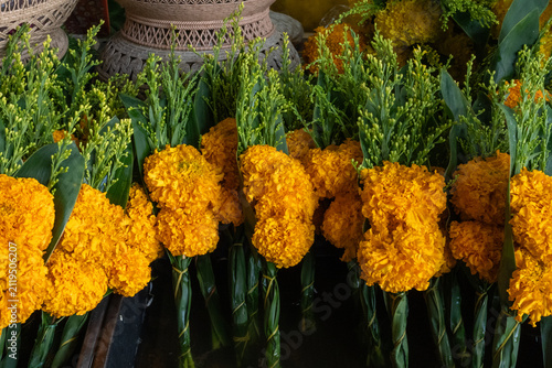 Fotografie Marigold Flowers Bundled for Temple Offerings, Surat Thani, Thailand