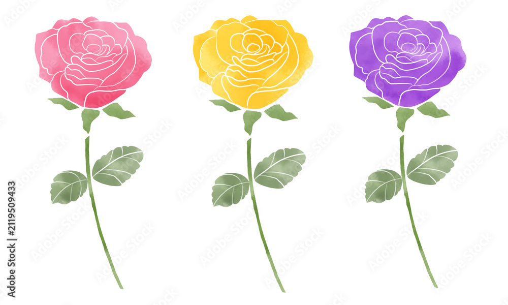 Naklejka premium バラの花の水彩風イラストセット 3色のエレガントな薔薇を描いた可愛い素材集