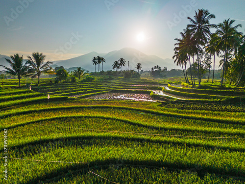 Aerial view of Tegalalang rice terraces at sunrise with lush greenery, mist, and mountains in the background in Tegalalang, Bali, Indonesia.