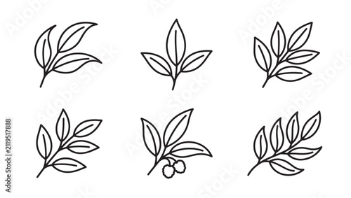 Set of botanical leaf illustrations in minimalist line art style with nature themed eco friendly botanical collection minimalist environment monochrome illustration decoration ornament