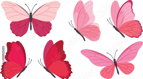 Obraz na plátne Delicate pink and crimson butterfly vector illustration set featuring assorted t