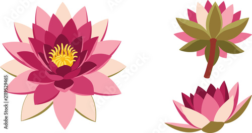 Foto Vibrant pink water lily vector illustration kit featuring blooming lotus flower