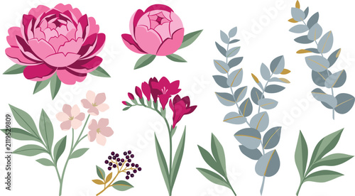 Bild auf Leinwand Elegant botanical floral collection vector illustration kit featuring magenta pi