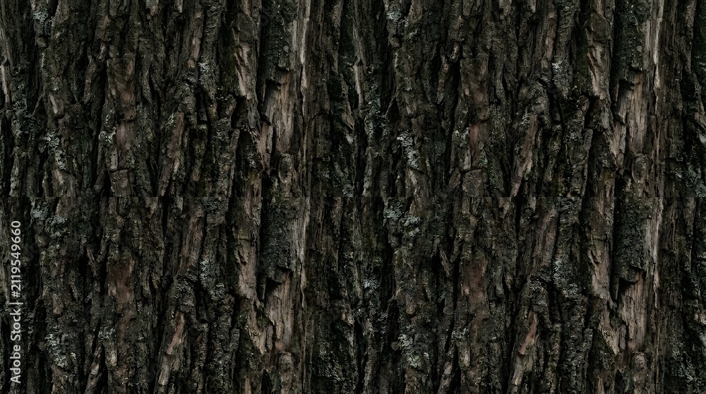 Fototapeta premium Seamless natural dark tree bark texture background.