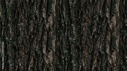 Seamless natural dark tree bark texture background.