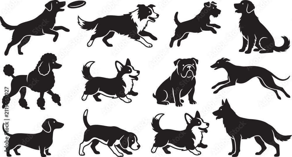 Naklejka premium Black silhouette dogs in various poses and breeds Vector