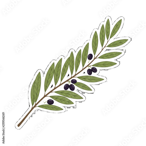 Minimal Olive Branch Botanical Flat Vector Illustration