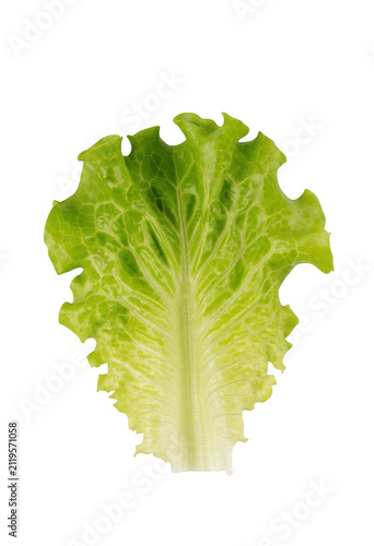 Isolated Lettuce Leaf Transparent Background