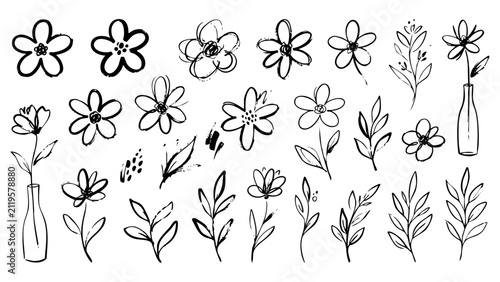 Hand Drawn Floral Doodle Vector Set for Botanical Design Elements