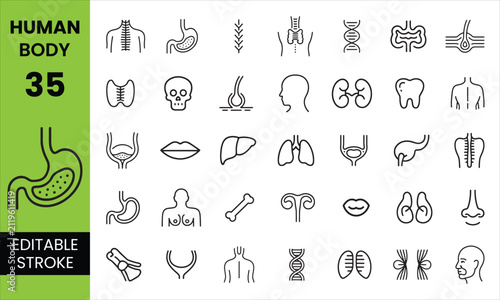 Human Body Parts Editable Icon Set includes detailed outline vector icons representing organs, anatomy, bones, muscles, body systems, healthcare, biology, medical education, diagnostics, and wellness
