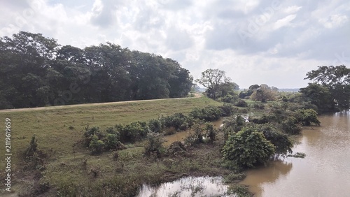 Принти на полотні Flooded landscape with trees and grass