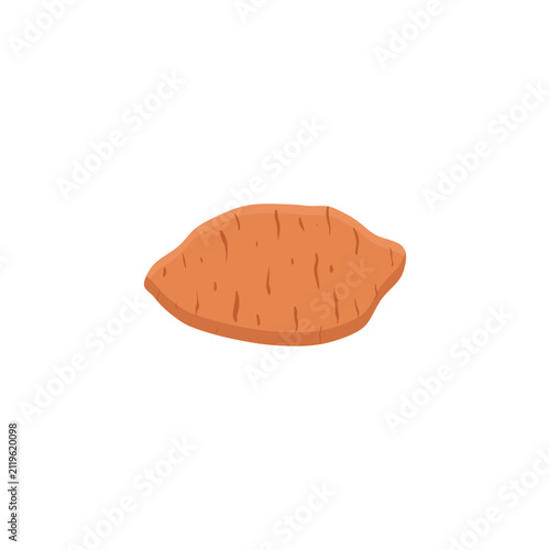 sweet potato, yam, isolated on white background. Sweet orange potato isolated on white background. Sweet potato vector illustration