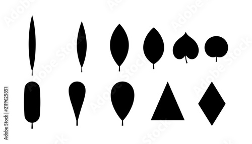 Leaves and Shapes in Various Designs and Styles Featuring Design, Illustration, Vector with Black