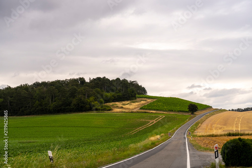 Winding road through green fields and vineyards under cloudy sky.