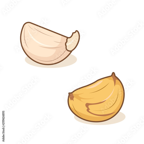 Semi flat arrangement of unpeeled clove and roasted clove illustration