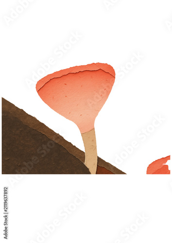 vector illustration of an ice cream