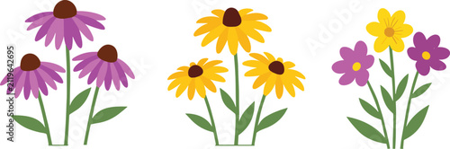 Colorful Wildflower Bouquet Collection Flat Vector Botanical Illustration Set