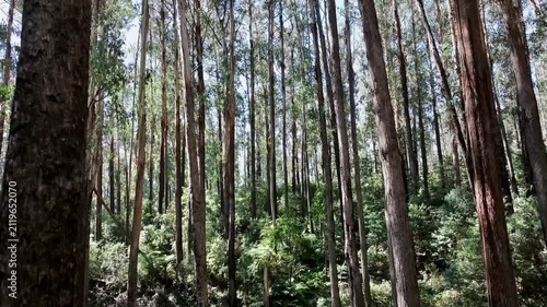 Cinematic 4K aerial footage of Rubicon Victoria Australia