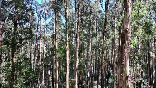 Cinematic 4K aerial footage of Rubicon Victoria Australia