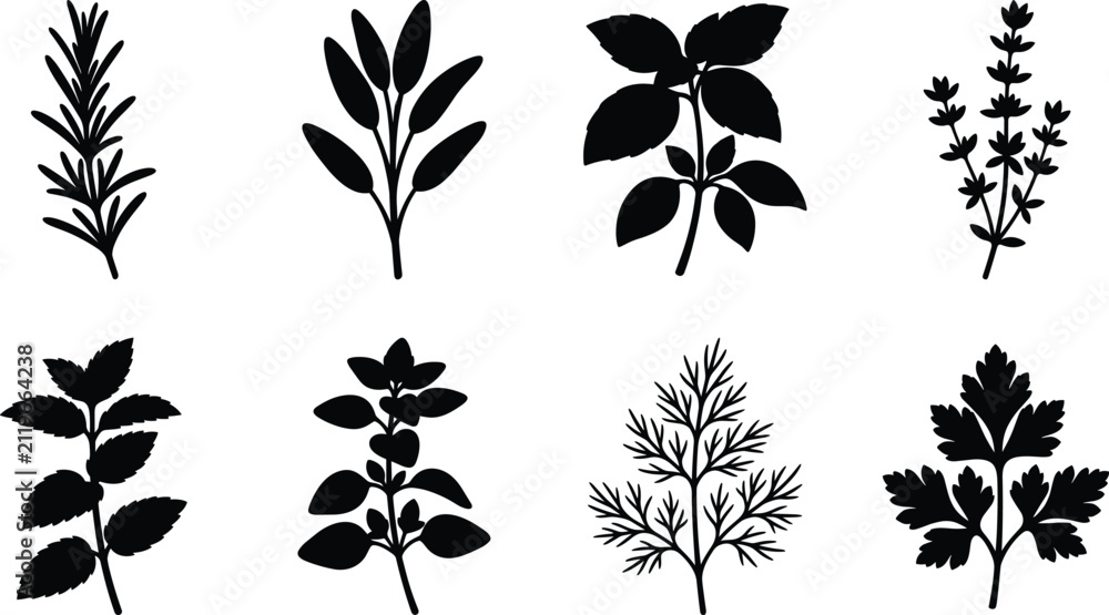 Obraz premium Herb Plant Silhouette Collection with Botanical Leaf Sprigs and Garden Foliage Set