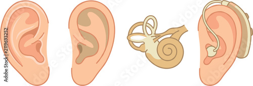 Human Ear Anatomy Vector Icon Set Featuring Outer Ear Inner Ear Cochlea and Ear with Hearing Aid Device for Medical Educational and Audiology Healthcare Designs