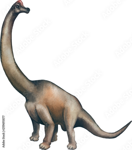 Illustrated Brachiosaurus Dinosaur Isolated