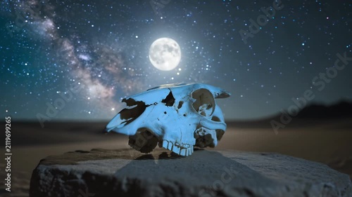 Cow skull on a rock under a starry night sky. 4K Video