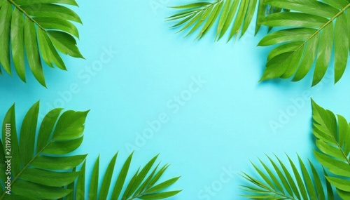 Pastel blue background, lush green palm leaves arranged in summery composition , stylish, minimal