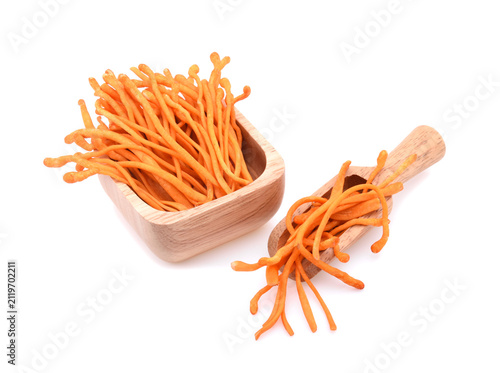 Cordyceps mushroom on white background