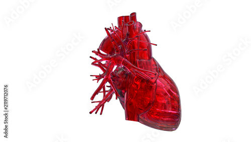 Obraz na plátně 3D Human Heart Anatomy Pearlescent Glass Art