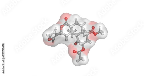 Obraz na płótnie Salvinorin A, powerful, naturally occurring hallucinogen from Salvia plant (divi