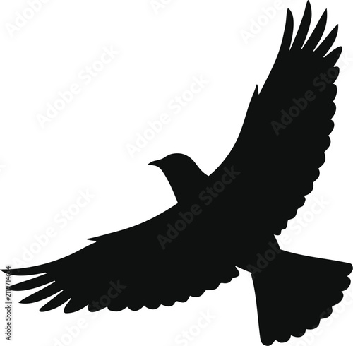 Silhouette of a flying bird in flight. Bird soaring with wings spread wide, symbolizing freedom and nature's beauty.