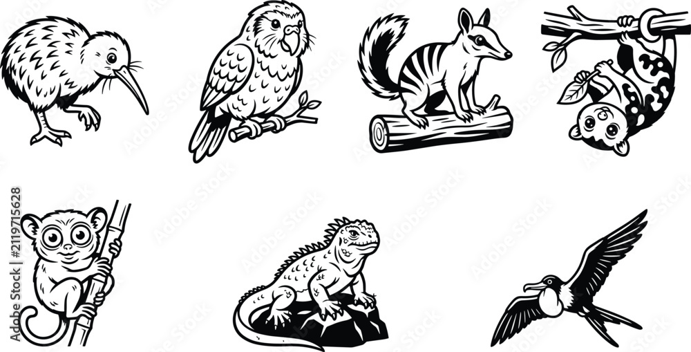 Obraz premium Exotic Wildlife Vector Collection with Kiwi, Owl, Numbat, Sloth, Tarsier, Iguana and Swallow