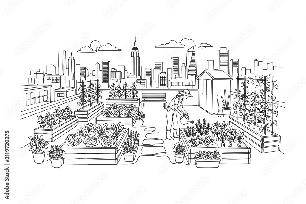 Obraz premium A line art illustration of a person gardening on a rooftop urban farm.
