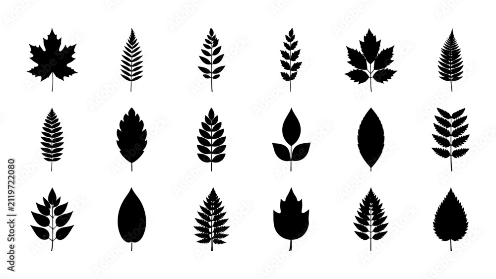 Obraz premium Collection of Various Leaf Silhouettes for Design Projects.