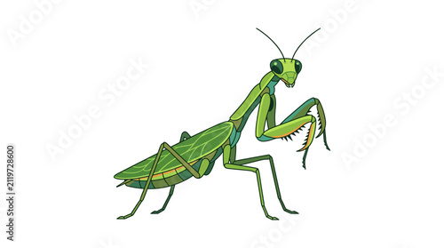 Minimalist line art illustration of a praying mantis insect outline