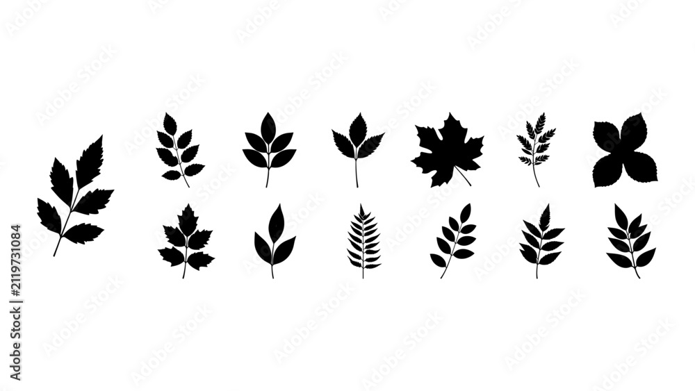 Obraz premium Collection of Various Leaf Silhouettes for Design Projects.